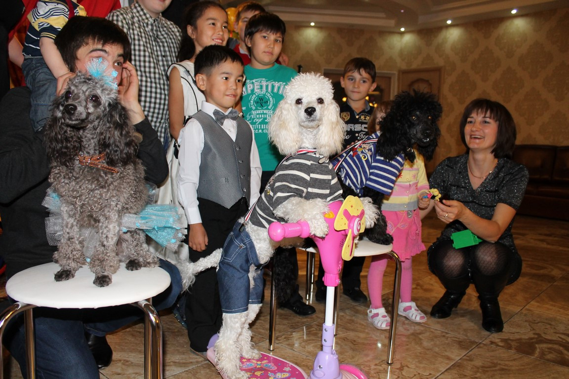 шоу дрессированных собчек в Алматы